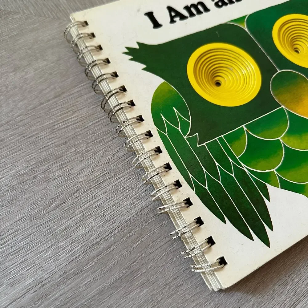 None am owl